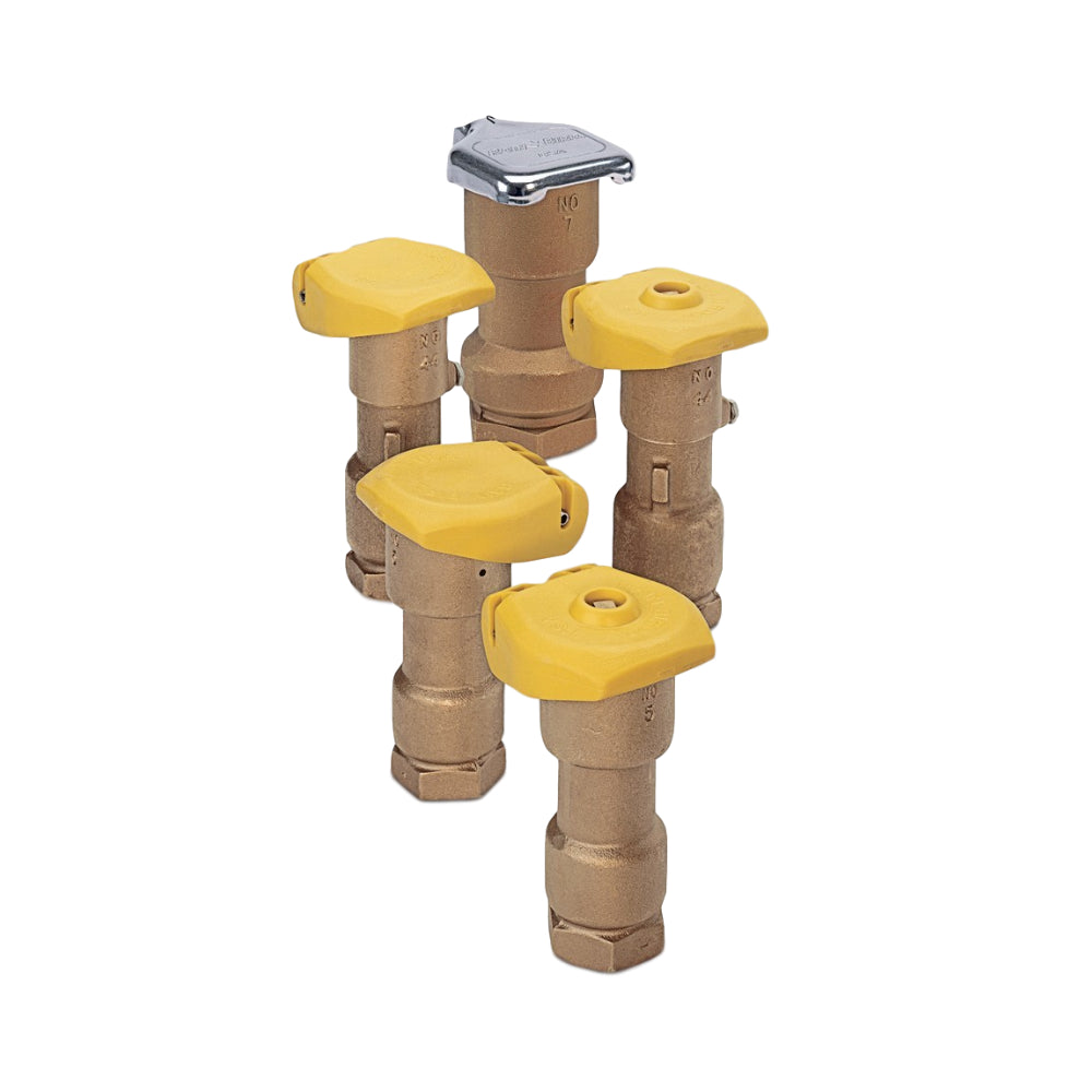 Rain Bird Quick Coupling Valves