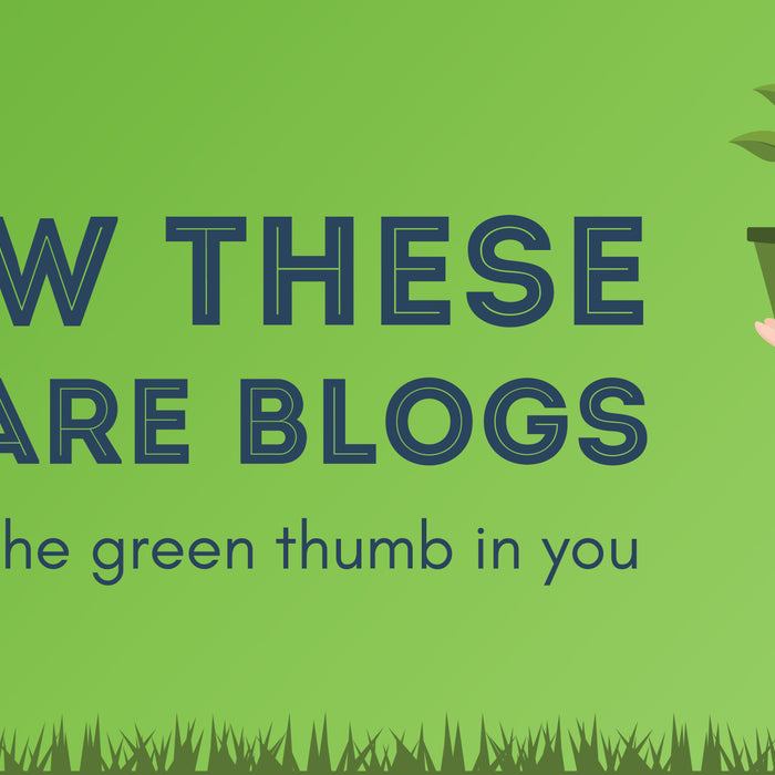 50 Top Lawn Care Blogs to Help Bring Out the Green Thumb in You