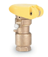 Rain Bird - 33DRC - 3/4" Double Track Key Lug, Rubber Cover Coupling Valve