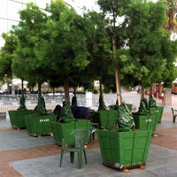 20 Gallon TreeGator Drip Watering Bag