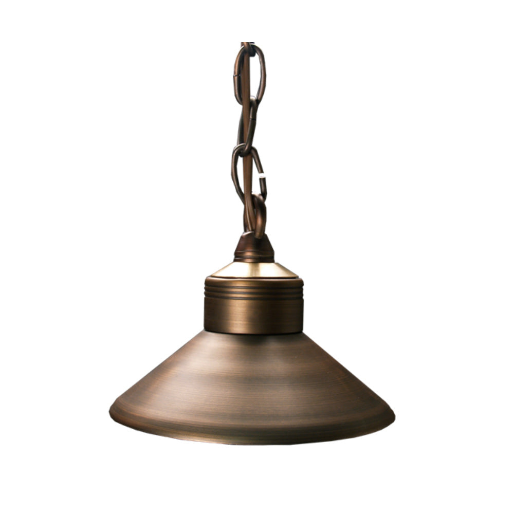 Unique - OBSE-NL - Observer Hanging Light Brass Housing Weathered Brass No Lamp