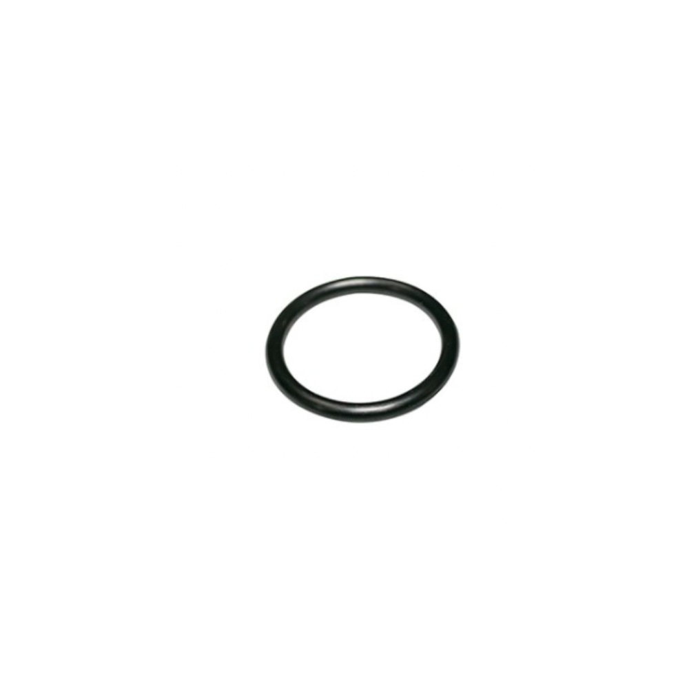 Wilkins - 218N - O-ring for 375, 1"  Housing Outle
